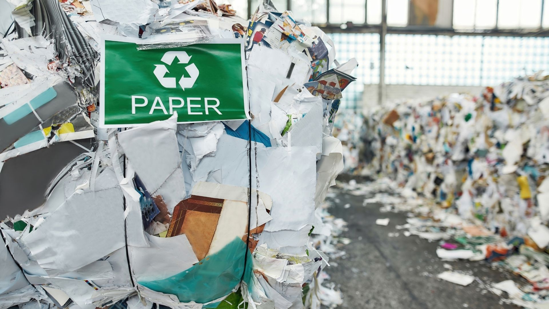 Paper Scrap Collection Hyderabad